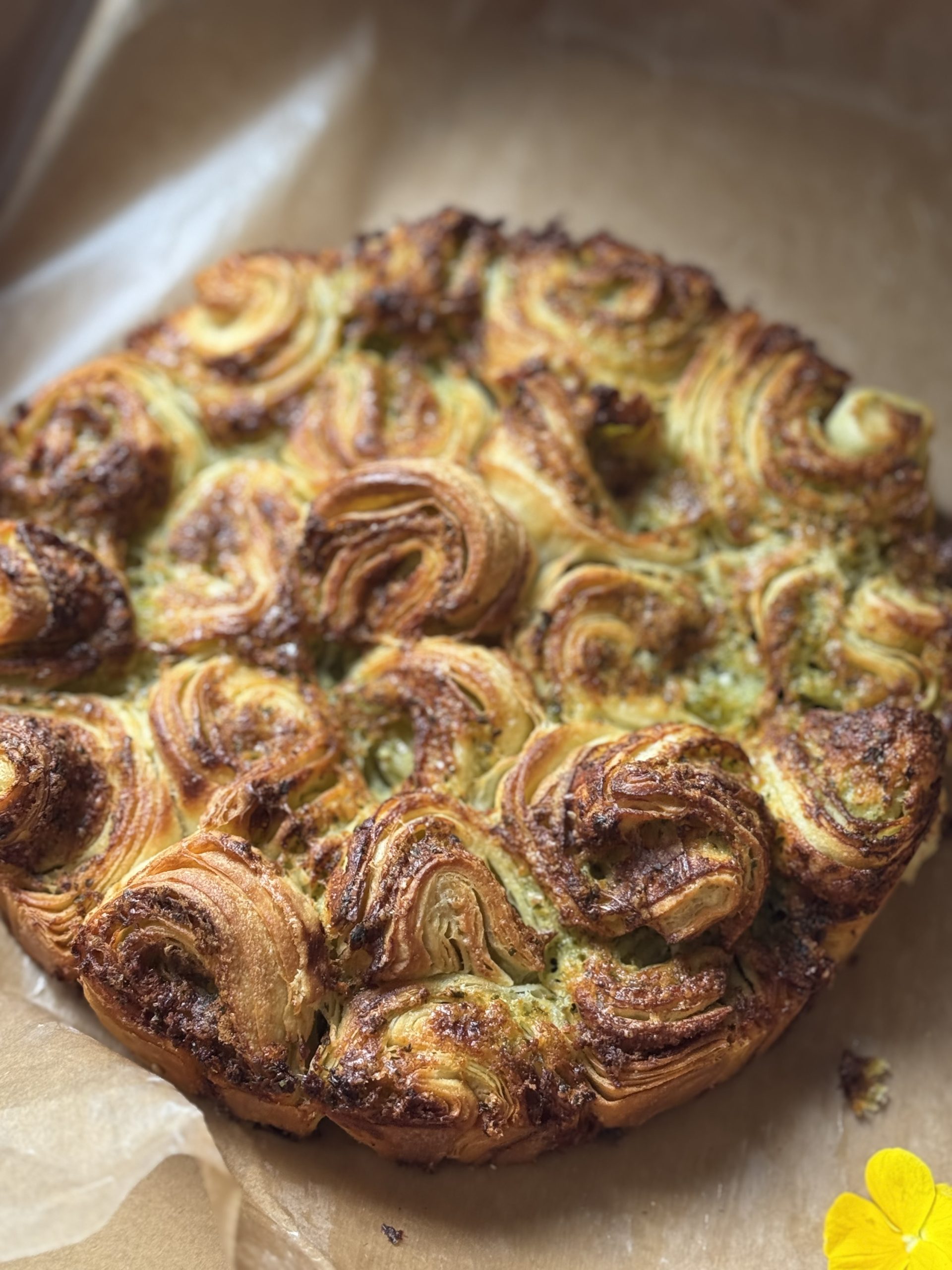 Mise en scène food avec décor végétal